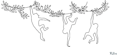 scimpanzé Disegni Da Colorare Stampabili